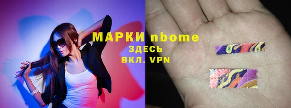 СК Алексин