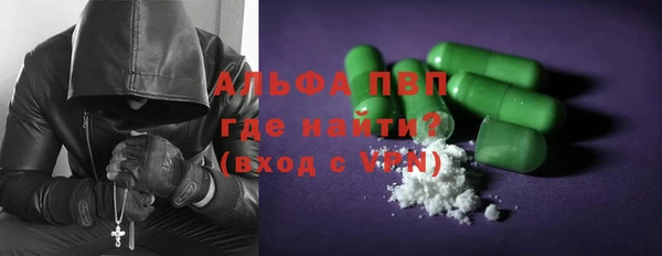 СК Алексин
