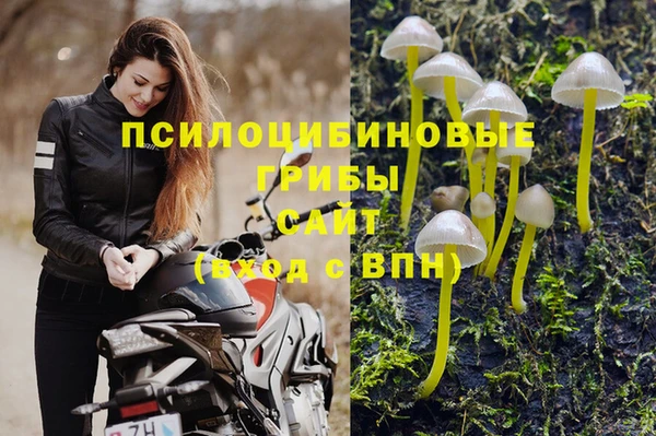 марки nbome Алзамай