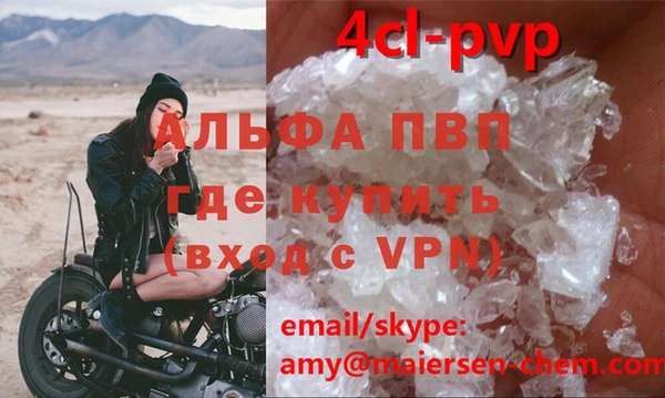 СК Алексин