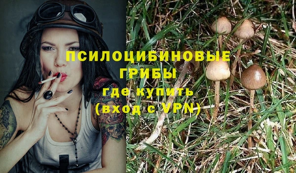 СК Алексин