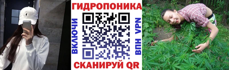 где купить наркоту Борзя Каннабис Bruce Banner